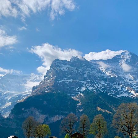 Eiger, Jungfrau, Luxury Garden Apartment Grindelwald Exterior photo