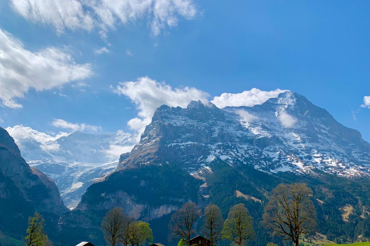 Eiger, Jungfrau, Luxury Garden Apartment Grindelwald Exterior photo